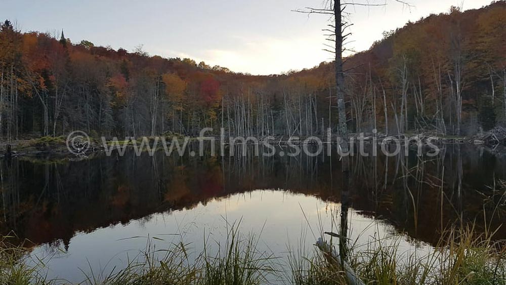Quebec-Film-Locations-Cottage-Forest-Films-Solutions-QCLAURSAINTEADELE-CHA06-021